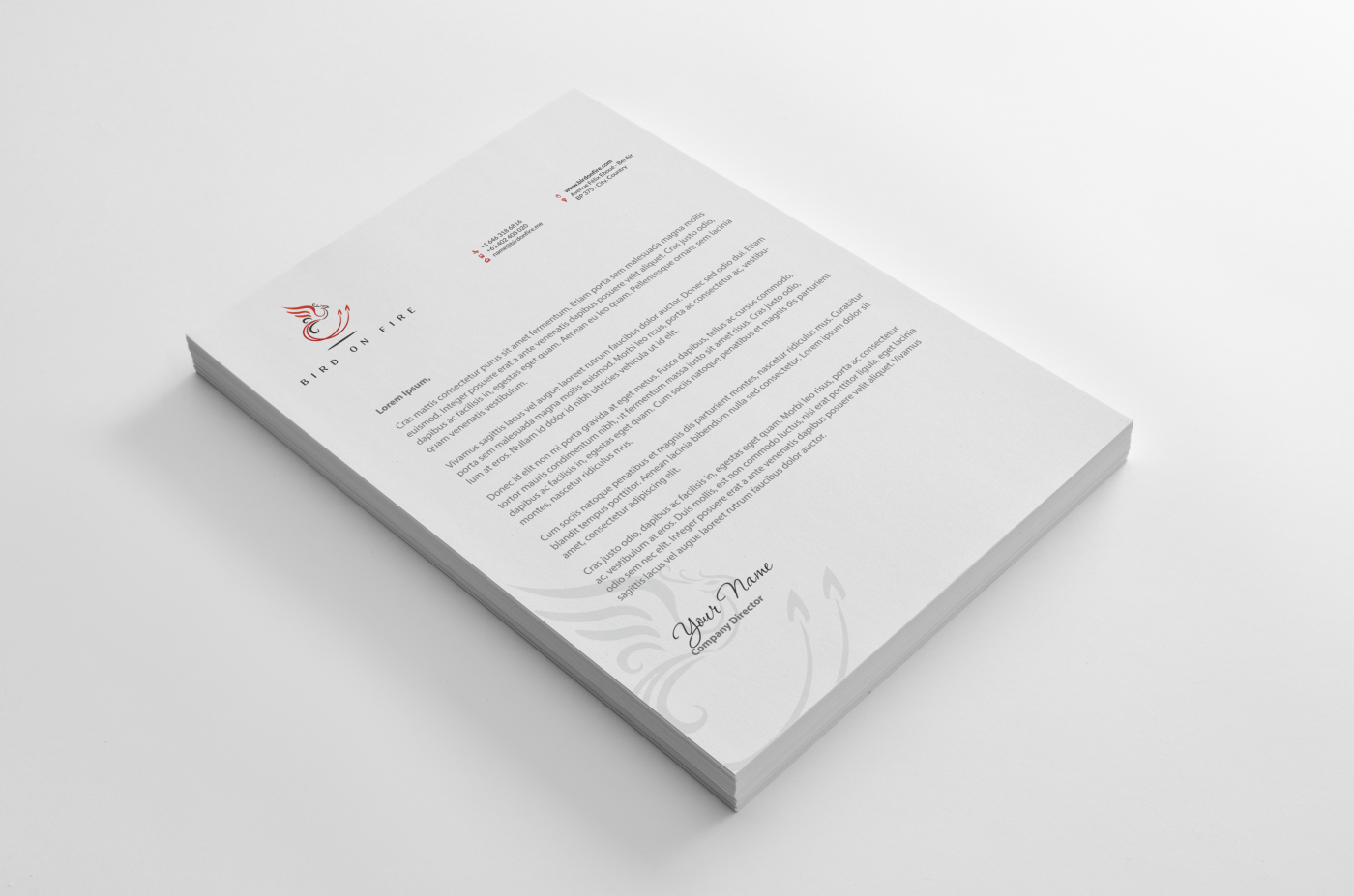 Schreibwaren-Design von HYPdesign für Bird on Fire Pty Ltd | Design #1221773