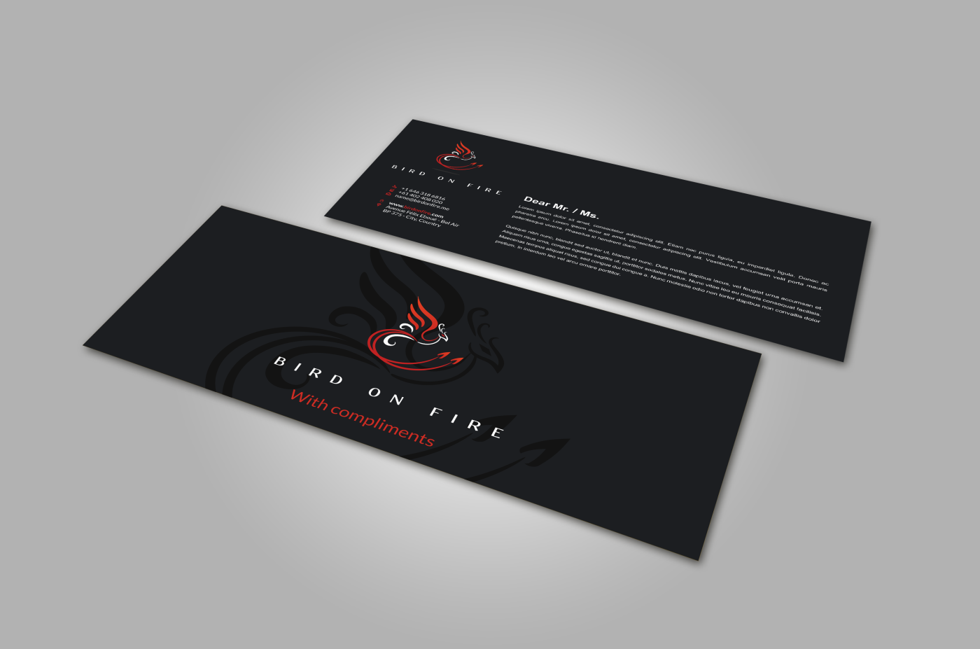 Stationery Design by HYPdesign for Bird on Fire Pty Ltd | Design #1221778