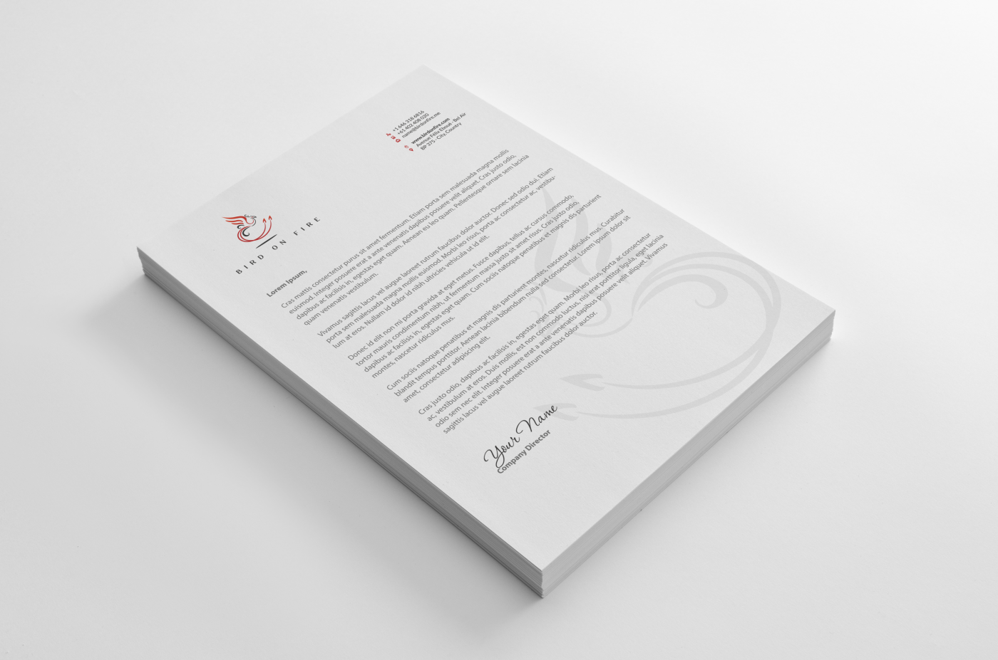 Stationery Design by HYPdesign for Bird on Fire Pty Ltd | Design #1221780