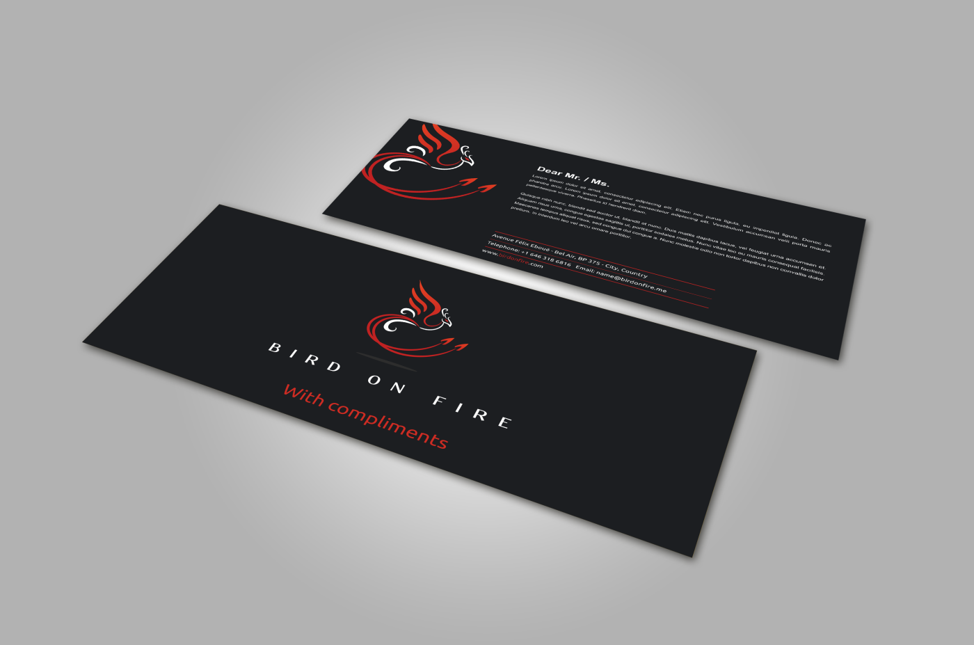 Stationery Design by HYPdesign for Bird on Fire Pty Ltd | Design #1221783