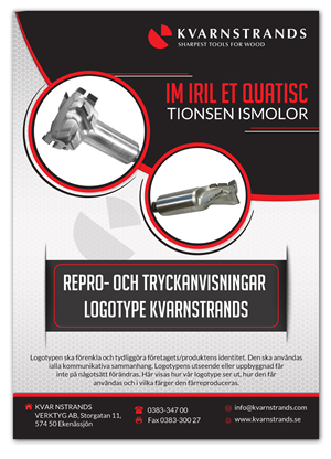 Flyer Design by ESolz Technologies