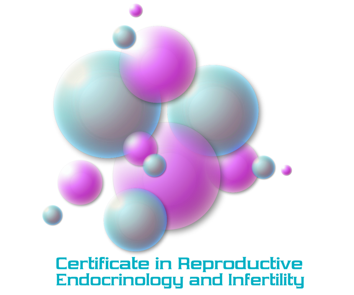 Logo Design by yunuskaradeniz87 for this project | Design #4299521