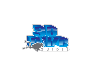 Design de Logo par icebreaker68 pour ce projet | Design : #4382772