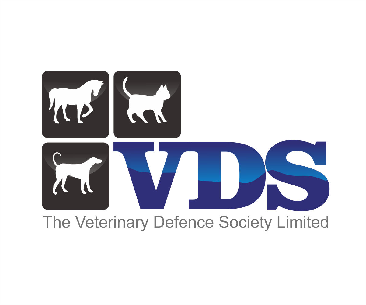 Logo Design by Kimjun for this project | Design #1222329