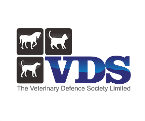 Logo Design by Kimjun for this project | Design #1222329