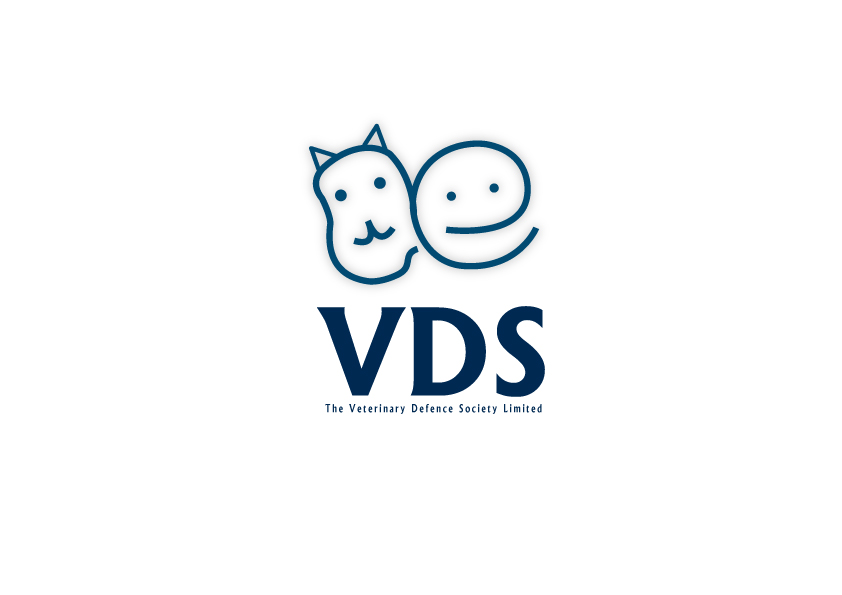 Diseño de Logo por Ayah Gamal para este proyecto | Diseño #1222900