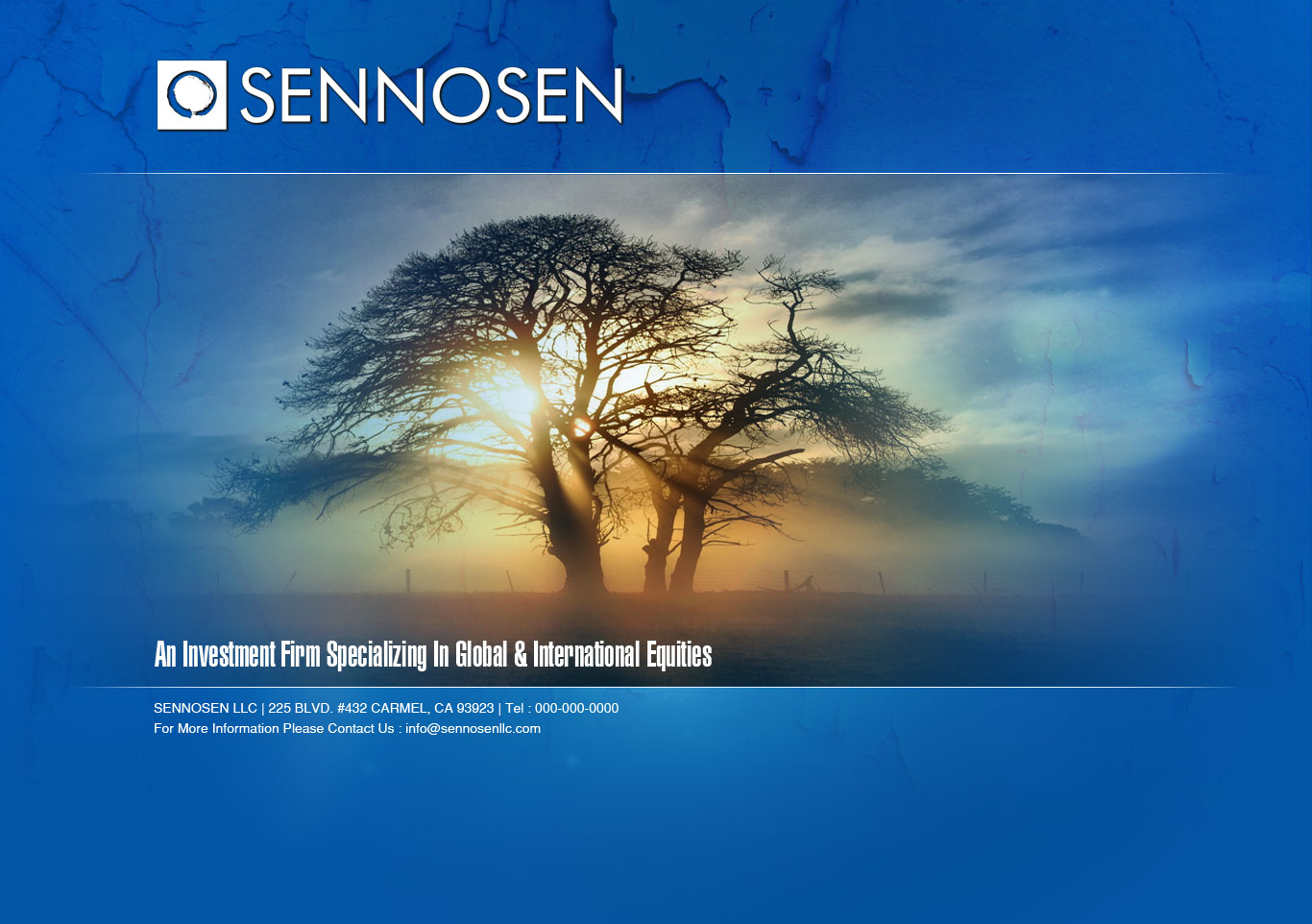 Web Design by Anil for this project | Design #4346975