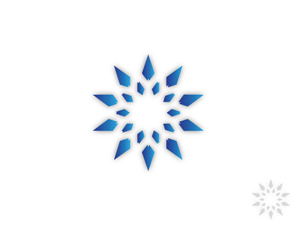 Logo Design by Harry Jay for Icon SA | Design #180317
