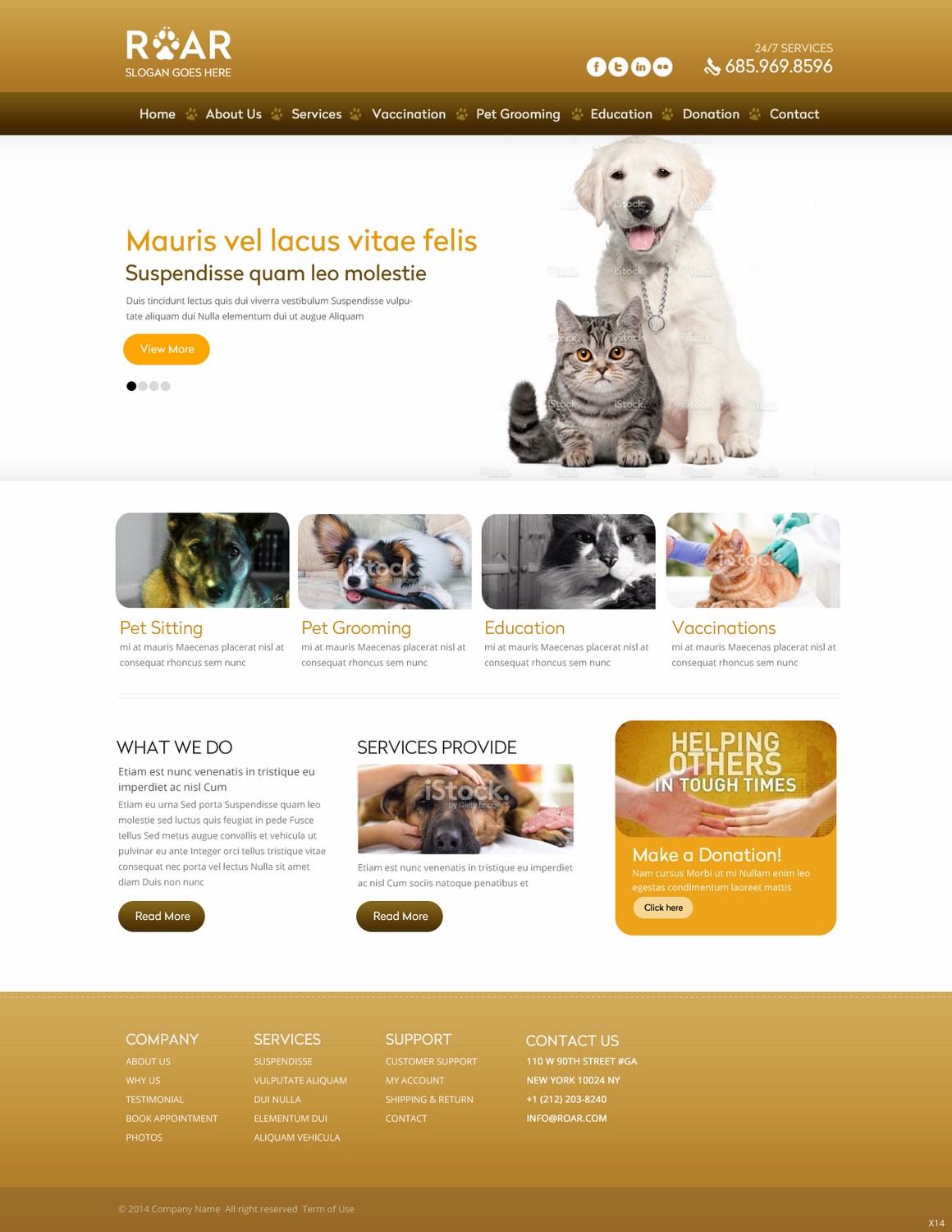 Web Design by pb for ROAR | Design #4311588