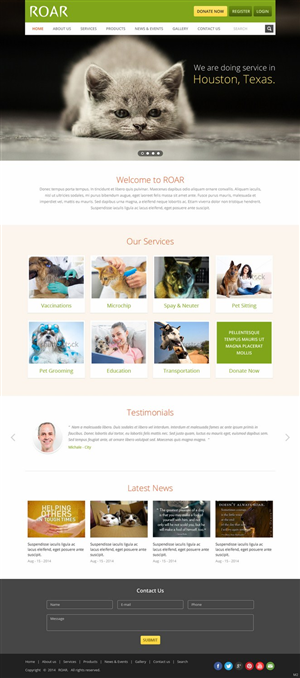 Diseño Web por pb para ROAR | Diseño: #4311593