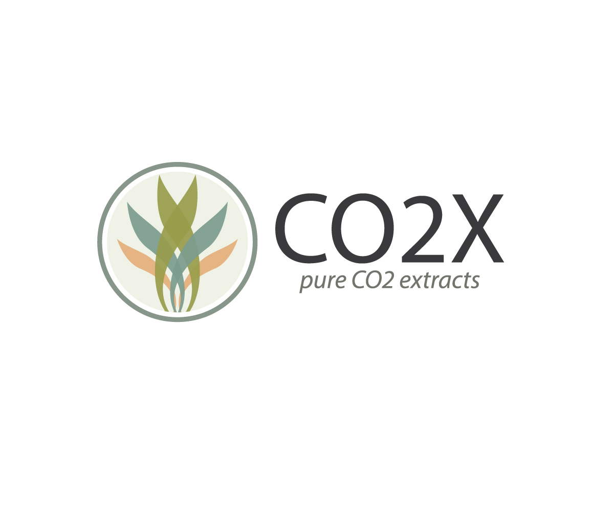 Logo Design by meygekon for this project | Design #4339577