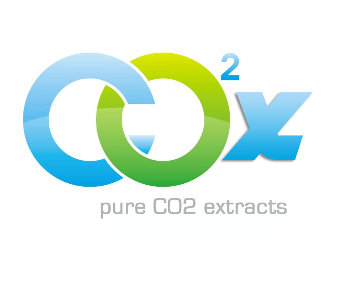 Logo Design by DesignPlus for this project | Design #4306896