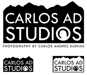 Diseño de Logo por Making the Impact para este proyecto | Diseño: #4406682