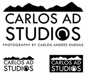 Diseño de Logo por Making the Impact para este proyecto | Diseño: #4407015