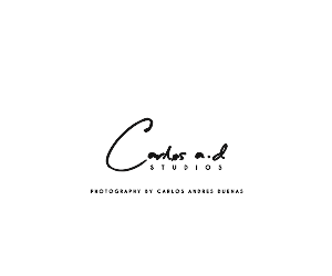 Diseño de Logo por Shank para este proyecto | Diseño: #4336227