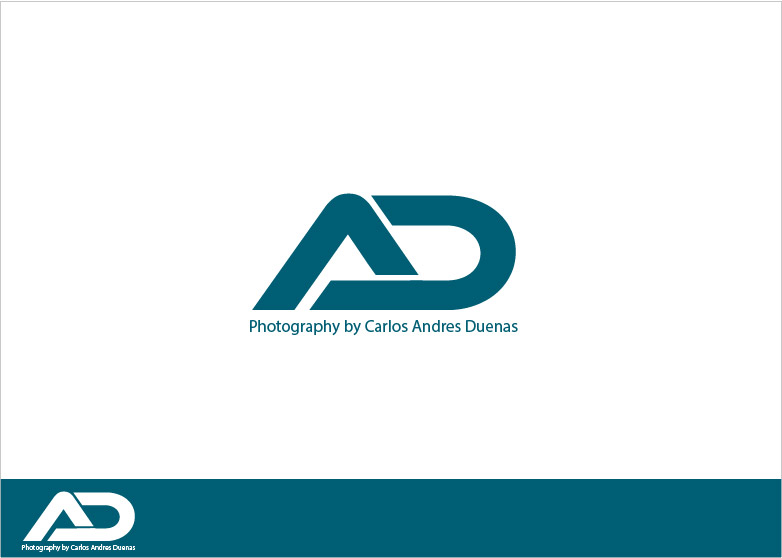 Diseño de Logo por xversion8 para este proyecto | Diseño #4317969