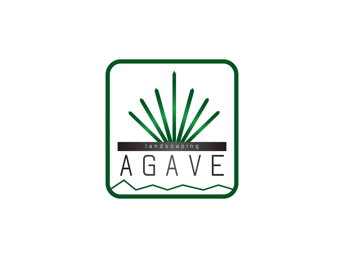 Logo Design by discodasa for this project | Design #4316281