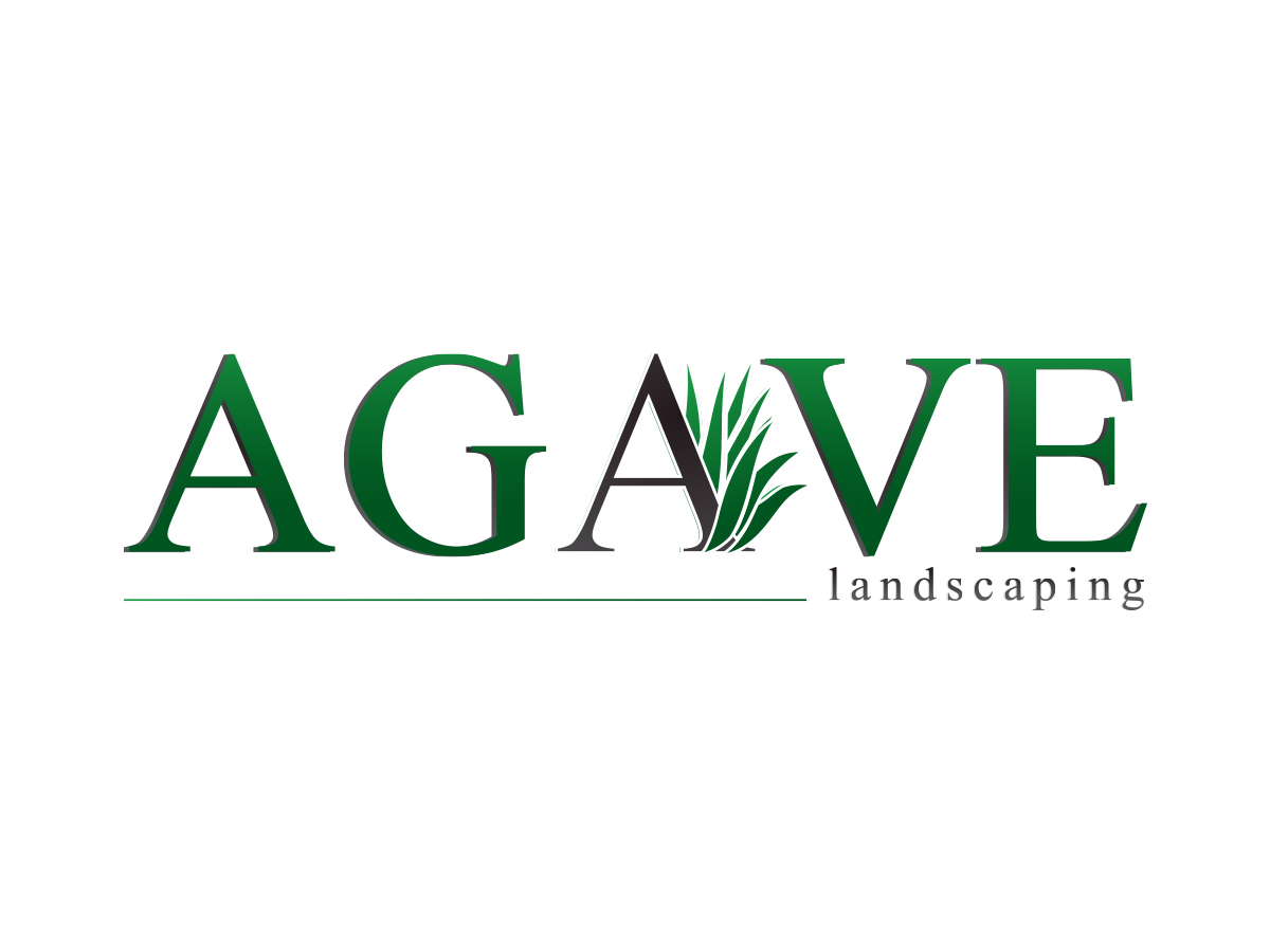 Logo Design by discodasa for this project | Design #4316554