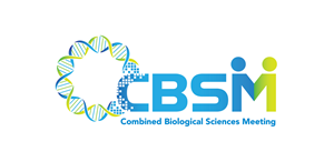 Logo Design by Katayut