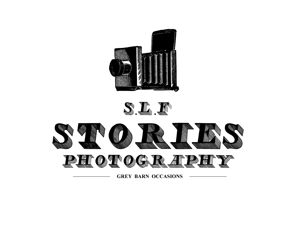 Diseño de Logo por ANCHOR para este proyecto | Diseño #4397657