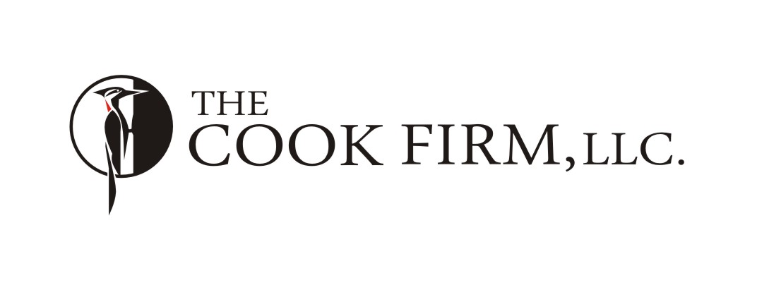 Logo Design by LIZZY LO for this project | Design #4323654