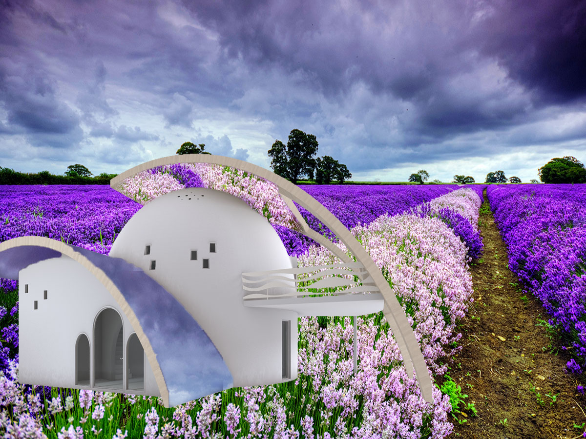 Photoshop Design by margoot for this project | Design #4333721