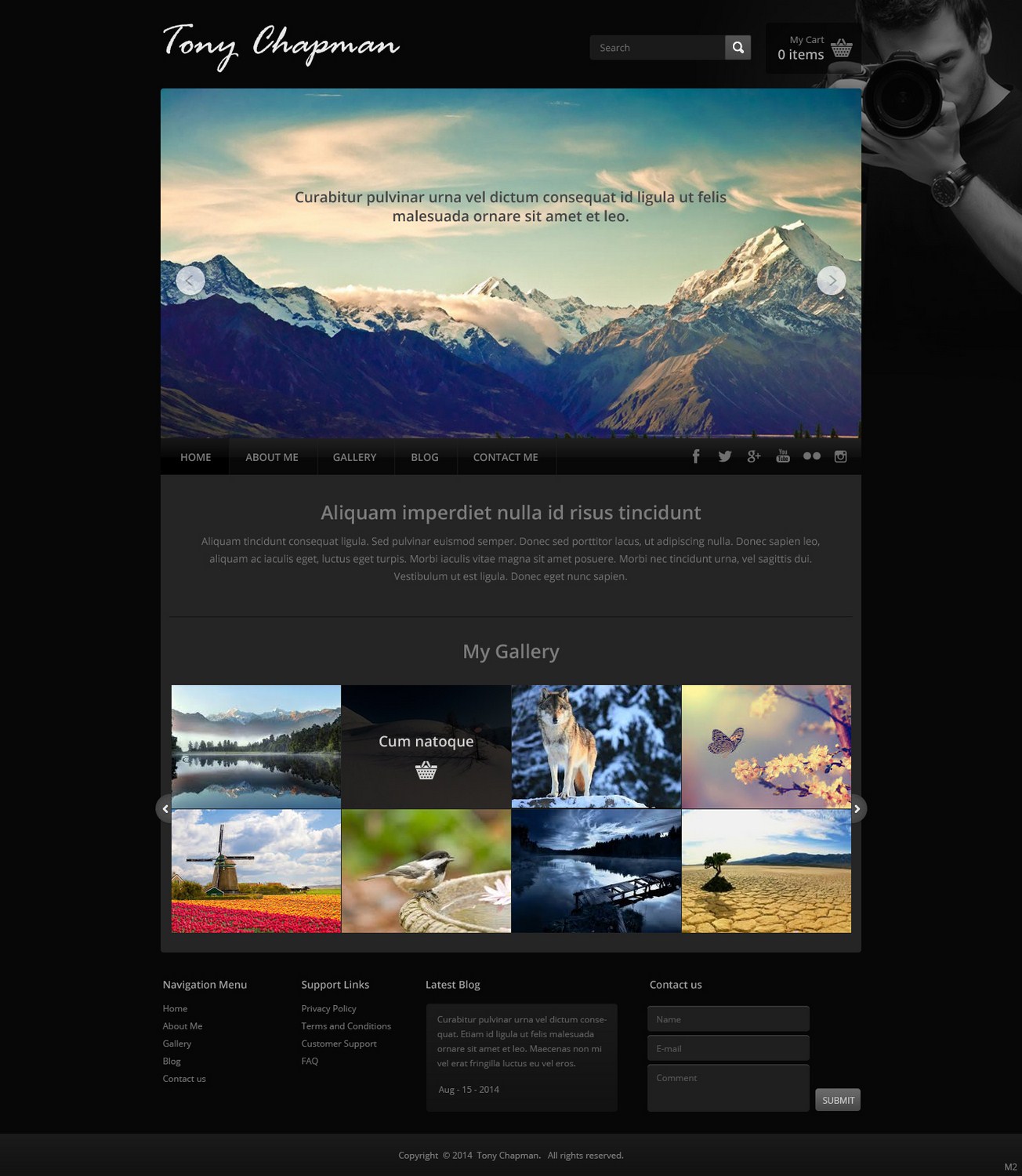 Web Design by pb for Tony Chapman Photographer | Design #4324369