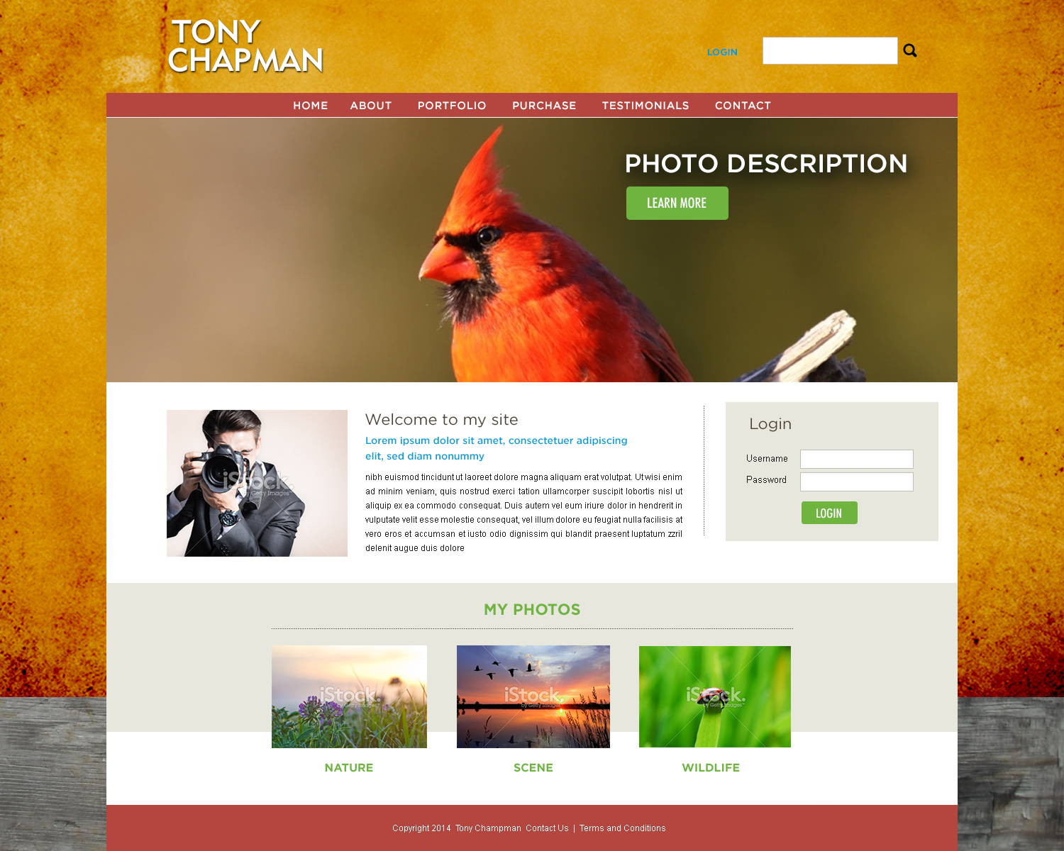 Web Design by yadunath for Tony Chapman Photographer | Design #4419265