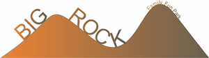 Logo Design by Nina