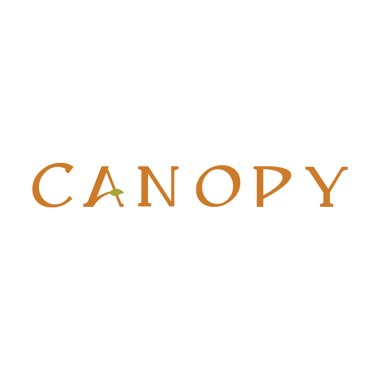 Logo Design by Design Possibilities for Cotton & Company | Design #4351729