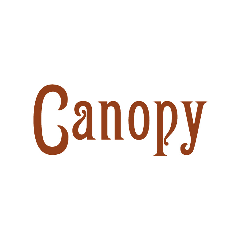 Logo Design by Design Possibilities for Cotton & Company | Design #4351766