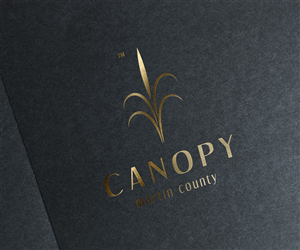 Logo Design by TM Kreatif for Cotton & Company | Design: #4327387