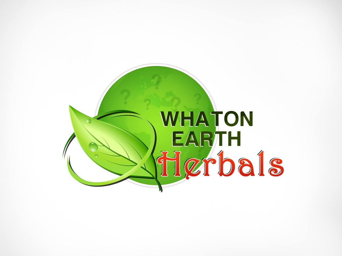 Logo Design by veeranath for On Point Acupuncture & Wellness | Design #4350281