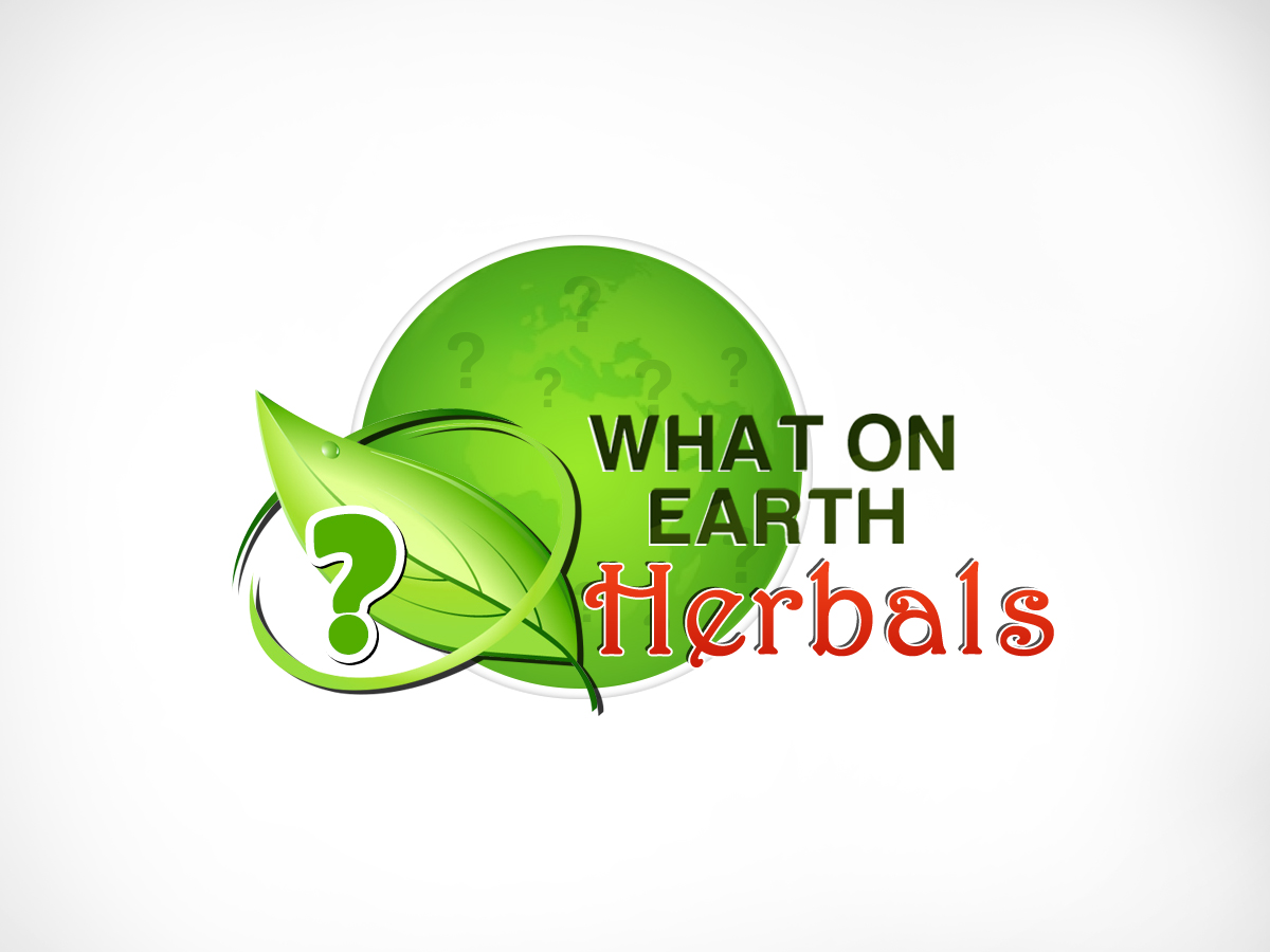 Logo Design by veeranath for On Point Acupuncture & Wellness | Design #4380980