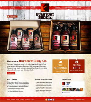 Web Design by TechWise