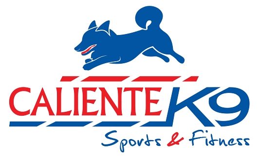 Design de Logo par Fabio Piscicelli pour ce projet | Design #4444972