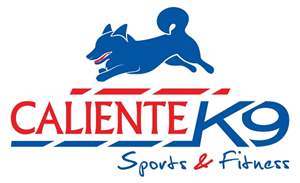 Logo Design by Fabio Piscicelli for this project | Design: #4444972