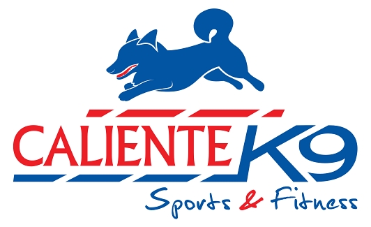 Design de Logo par Fabio Piscicelli pour ce projet | Design #4445469