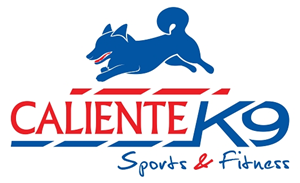 Logo Design by Fabio Piscicelli for this project | Design: #4445469