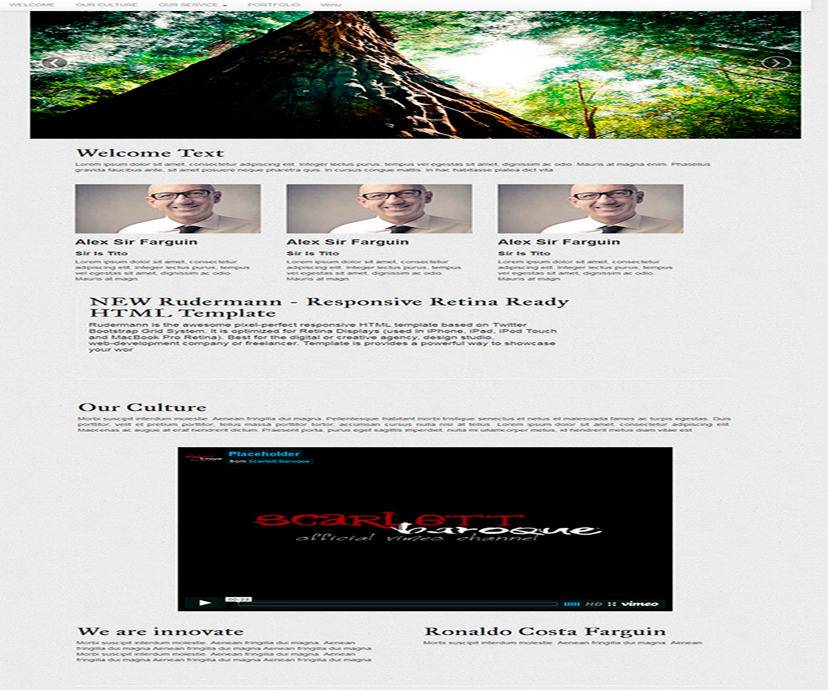 Wordpress Design by toooki for West Coast Importer | Design #4375717