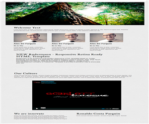 Wordpress Design by toooki