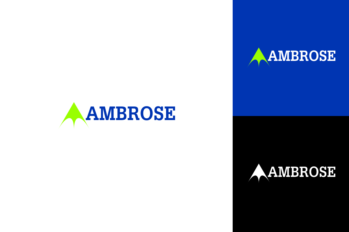 Logo Design by cb1318 for this project | Design #4344854