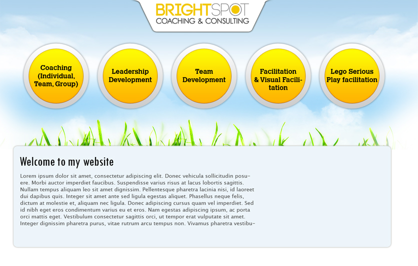 Wordpress Design by Expert Designer for this project | Design #1264574