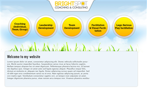 Wordpress Design by Expert Designer
