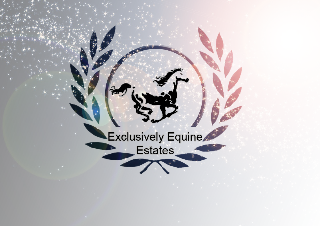 Diseño de Logo por nico.macridis para este proyecto | Diseño #4346580