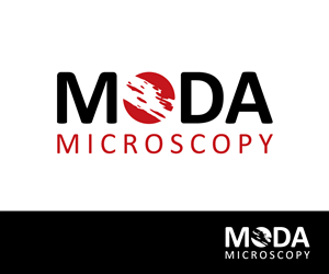 Logo Design by nekton