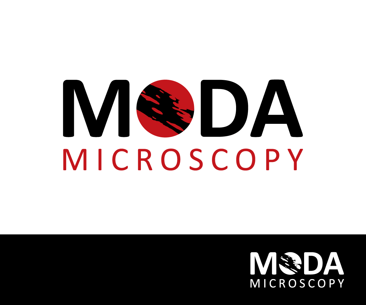 Logo Design by nekton for this project | Design #1243346