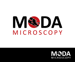 Logo Design by nekton for this project | Design: #1246671