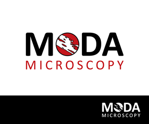 Logo Design by nekton for this project | Design: #1246672