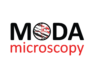 Logo Design by arti